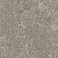 Marmoleum Real Global 3 2.5mm 3146 Serene Grey