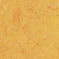 Marmoleum Real Global 3 2.5mm 3225 Dandelion