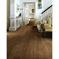 Chene 14mm Engineered Wood - Cognac